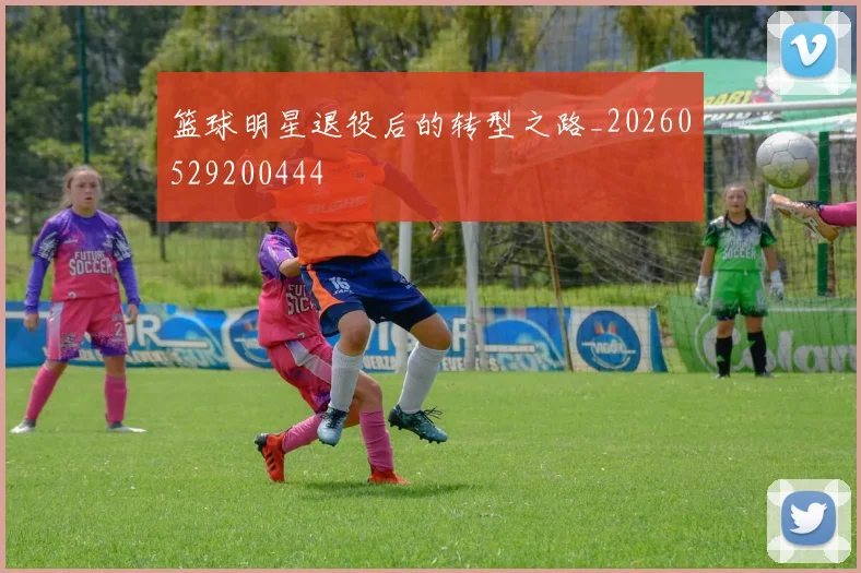 篮球明星退役后的转型之路_20260529200444