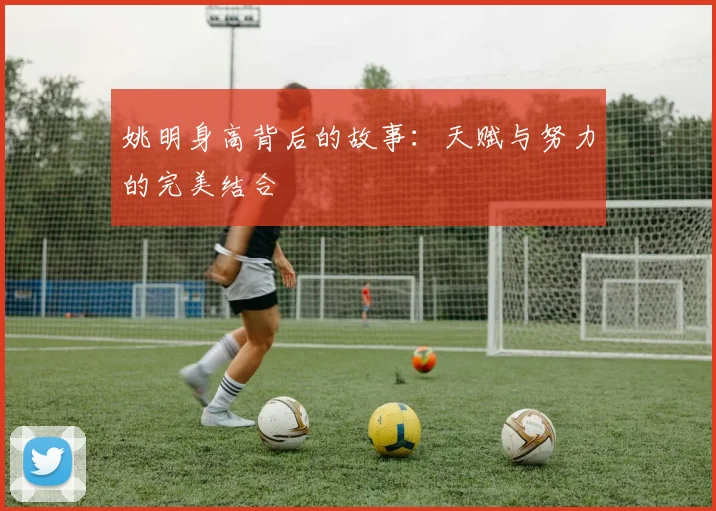 姚明身高背后的故事：天赋与努力的完美结合