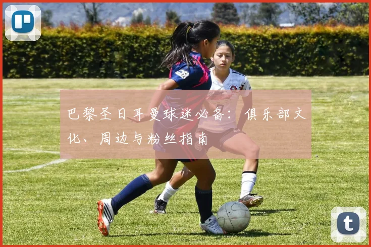 巴黎圣日耳曼球迷必备:俱乐部文化、周边与粉丝指南